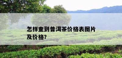 怎样查到普洱茶价格表图片及价格？