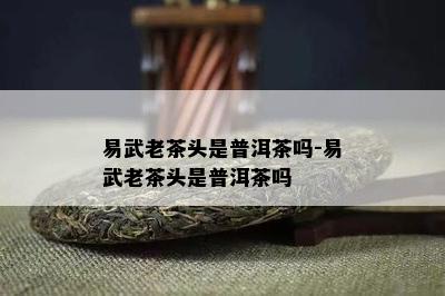 易武老茶头是普洱茶吗-易武老茶头是普洱茶吗