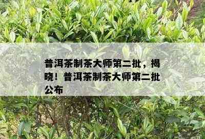 普洱茶制茶大师第二批，揭晓！普洱茶制茶大师第二批公布