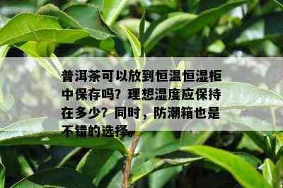 普洱茶可以放到恒温恒湿柜中保存吗？理想湿度应保持在多少？同时，防潮箱也是不错的选择。