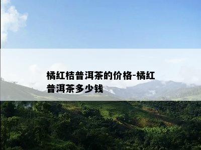 橘红桔普洱茶的价格-橘红普洱茶多少钱