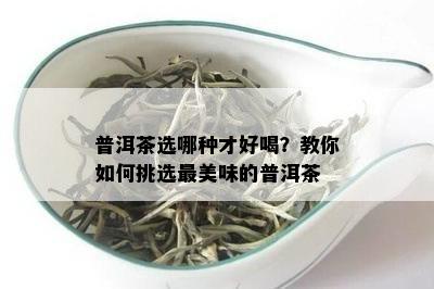 普洱茶选哪种才好喝？教你如何挑选最美味的普洱茶