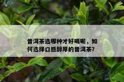 普洱茶选哪种才好喝呢，如何选择口感醇厚的普洱茶？