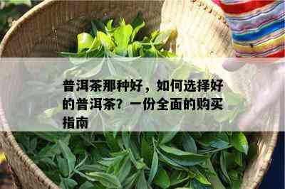 普洱茶那种好，如何选择好的普洱茶？一份全面的购买指南