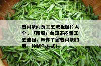 普洱茶闷黄工艺流程图片大全，「图解」普洱茶闷黄工艺流程，带你了解普洱茶的另一种制作方式！