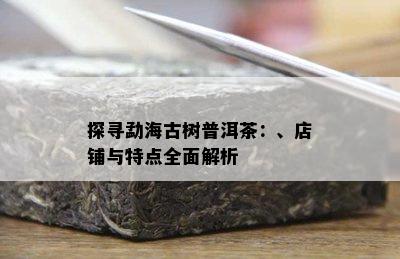 探寻勐海古树普洱茶：、店铺与特点全面解析