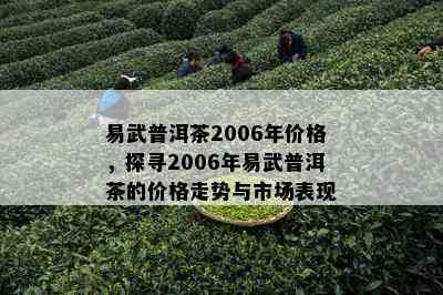 易武普洱茶2006年价格，探寻2006年易武普洱茶的价格走势与市场表现