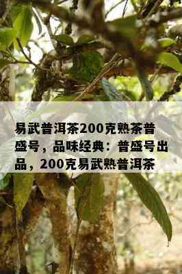 易武普洱茶200克熟茶普盛号，品味经典：普盛号出品，200克易武熟普洱茶