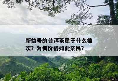 新益号的普洱茶属于什么档次？为何价格如此亲民？