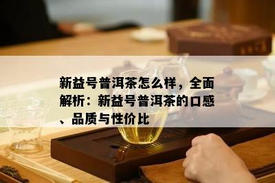 新益号普洱茶怎么样，全面解析：新益号普洱茶的口感、品质与性价比