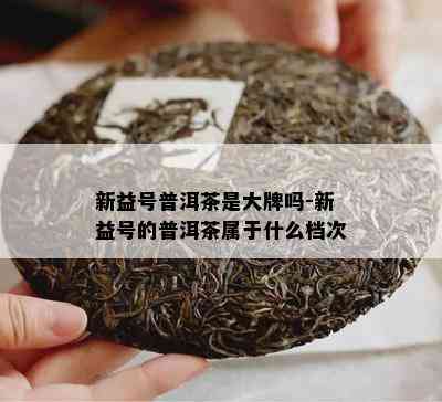 新益号普洱茶是大牌吗-新益号的普洱茶属于什么档次