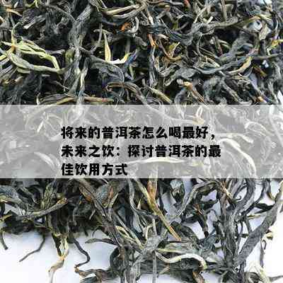 将来的普洱茶怎么喝更好，未来之饮：探讨普洱茶的更佳饮用方式