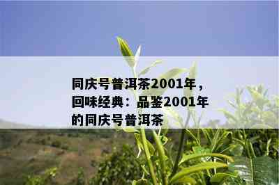 同庆号普洱茶2001年，回味经典：品鉴2001年的同庆号普洱茶