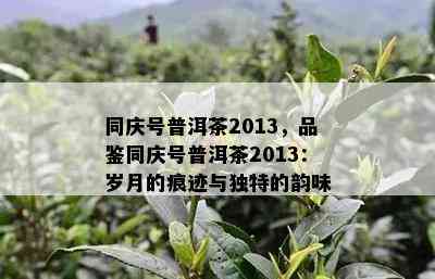 同庆号普洱茶2013，品鉴同庆号普洱茶2013：岁月的痕迹与独特的韵味