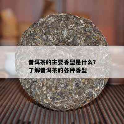 普洱茶的主要香型是什么？了解普洱茶的各种香型