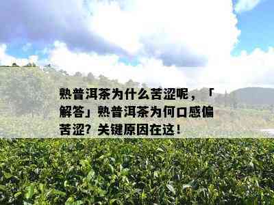 熟普洱茶为什么苦涩呢，「解答」熟普洱茶为何口感偏苦涩？关键原因在这！