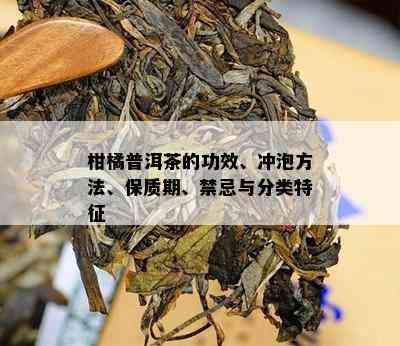 柑橘普洱茶的功效、冲泡方法、保质期、禁忌与分类特征