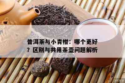 普洱茶与小青柑：哪个更好？区别与共用茶壶问题解析