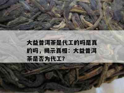 大益普洱茶是代工的吗是真的吗，揭示真相：大益普洱茶是否为代工？