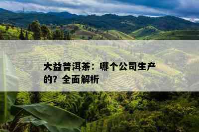 大益普洱茶：哪个公司生产的？全面解析