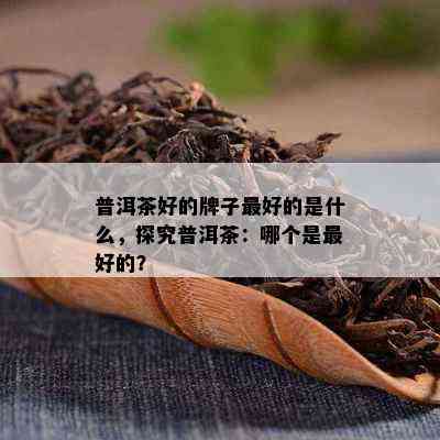 普洱茶好的牌子更好的是什么，探究普洱茶：哪个是更好的？