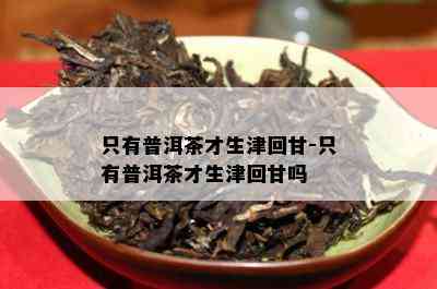 只有普洱茶才生津回甘-只有普洱茶才生津回甘吗