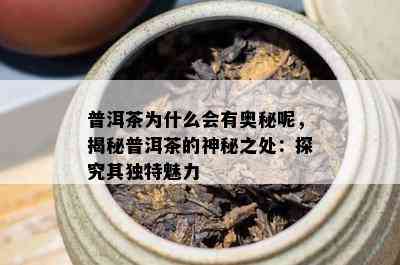 普洱茶为什么会有奥秘呢，揭秘普洱茶的神秘之处：探究其独特魅力