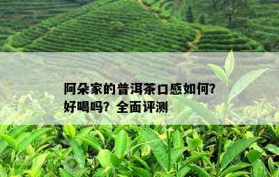 阿朵家的普洱茶口感如何？好喝吗？全面评测