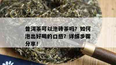 普洱茶可以泡砖茶吗？如何泡出好喝的口感？详细步骤分享！