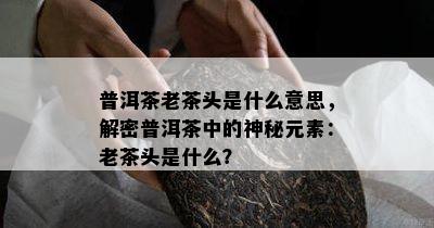 普洱茶老茶头是什么意思，解密普洱茶中的神秘元素：老茶头是什么？