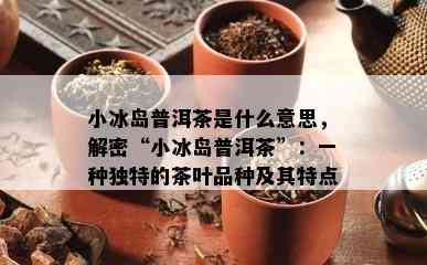 小冰岛普洱茶是什么意思，解密“小冰岛普洱茶”：一种独特的茶叶品种及其特点