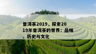 普洱茶2019，探索2019年普洱茶的世界：品味、历史与文化