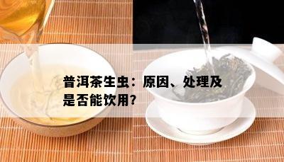 普洱茶生虫：原因、处理及是否能饮用？