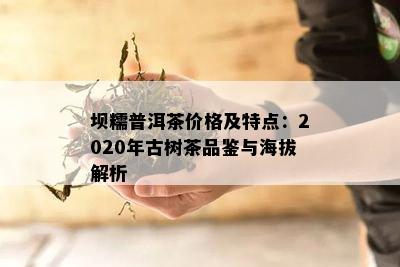 坝糯普洱茶价格及特点：2020年古树茶品鉴与海拔解析