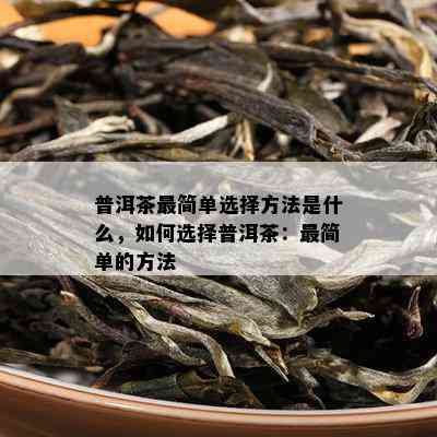 普洱茶最简单选择方法是什么，如何选择普洱茶：最简单的方法