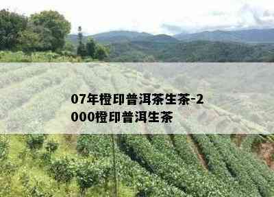 07年橙印普洱茶生茶-2000橙印普洱生茶