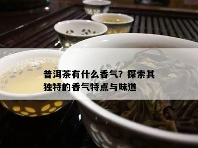 普洱茶有什么香气？探索其独特的香气特点与味道