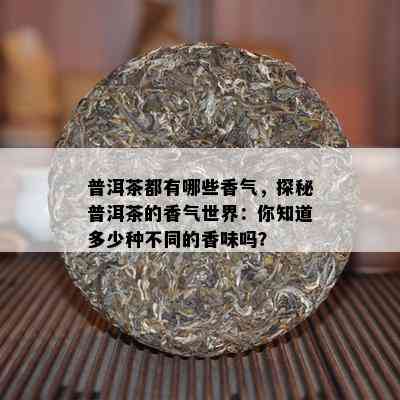 普洱茶都有哪些香气，探秘普洱茶的香气世界：你知道多少种不同的香味吗？