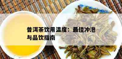 普洱茶饮用温度：更佳冲泡与品饮指南