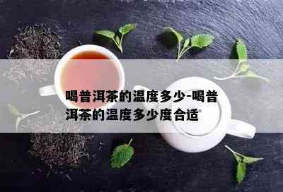 喝普洱茶的温度多少-喝普洱茶的温度多少度合适