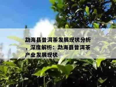 勐海县普洱茶发展现状分析，深度解析：勐海县普洱茶产业发展现状