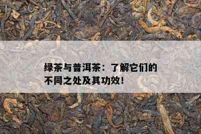 绿茶与普洱茶：了解它们的不同之处及其功效！