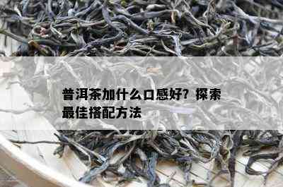 普洱茶加什么口感好？探索更佳搭配方法