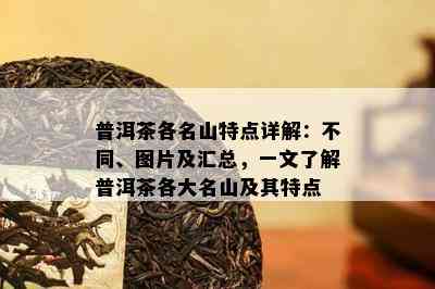 普洱茶各名山特点详解：不同、图片及汇总，一文了解普洱茶各大名山及其特点