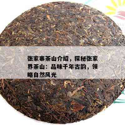 张家寨茶山介绍，探秘张家界茶山：品味千年古韵，领略自然风光