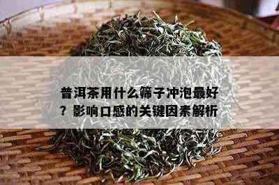 普洱茶用什么筛子冲泡更好？影响口感的关键因素解析