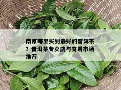 南京哪里买到更好的普洱茶？普洱茶专卖店与交易市场推荐