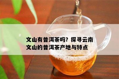 文山有普洱茶吗？探寻云南文山的普洱茶产地与特点