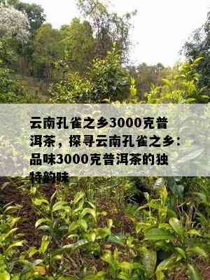 云南孔雀之乡3000克普洱茶，探寻云南孔雀之乡：品味3000克普洱茶的独特韵味