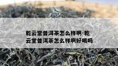 乾云堂普洱茶怎么样啊-乾云堂普洱茶怎么样啊好喝吗